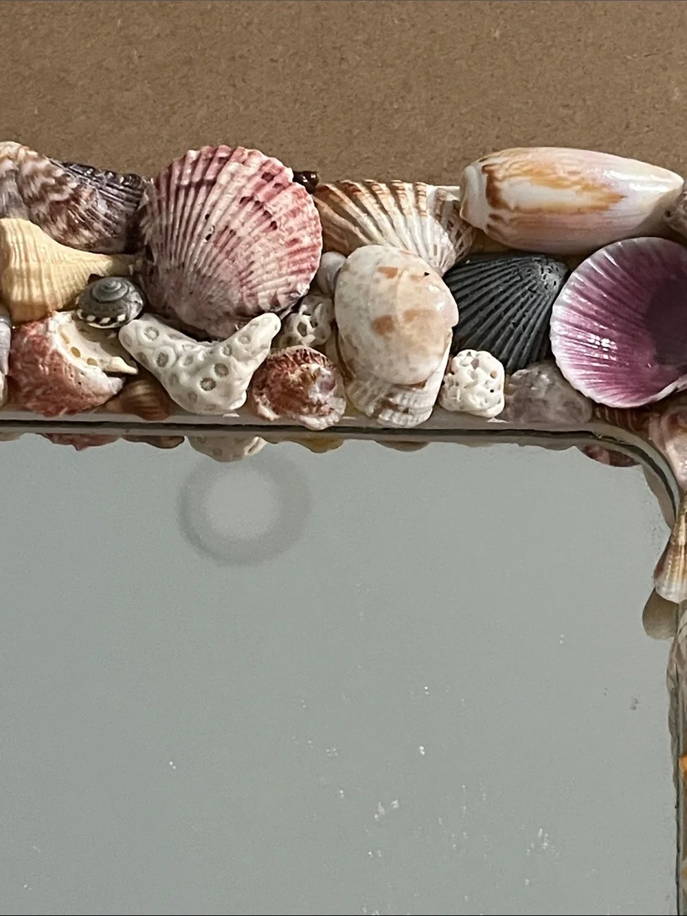 Handmade Seashell Accent Mirror in Pink, Cream & Tan 10x10